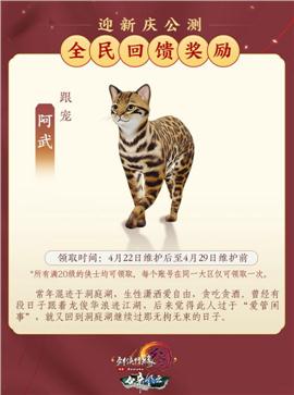 天龙八部私服卡死